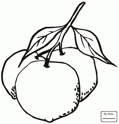 Please, feel free to share 1700x2200 orange blossom coloring page, orange blossom strawberry. Orange Fruit Drawing at GetDrawings | Free download