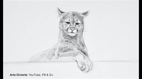 Aprende a dibujar un puma en una versión muy rápida y fácil con este loblogue video. Cómo dibujar un puma - Narrado
