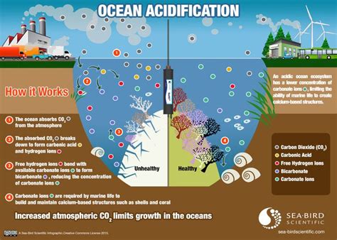 17 Best Images About Ocean Acidification On Pinterest