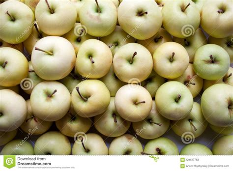 Small Ripe White Apples Background Stock Image Image Of Group Heap