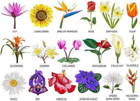'personality is to a man what perfume is to a flower' and other great sayings. Flower Types | Raheeq Flowers