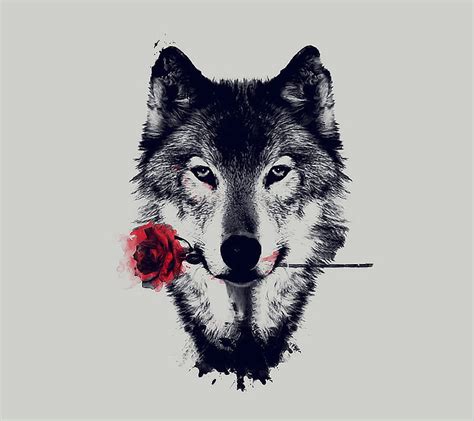 Rose Wolf Flower Paint Rose Wolf Wolves Hd Wallpaper Peakpx
