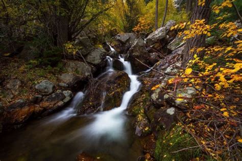 Big Cottonwood Fall Colors In Utah Landscape Photography Clint