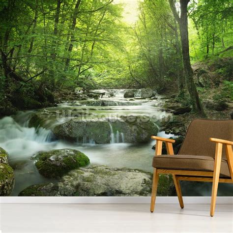 Enchanting Forest Waterfall Wallpaper Mural Wallsauce Us