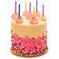 Pink Sprinkle Birthday Cake  Vanilla Trophy Cupcakes & Party