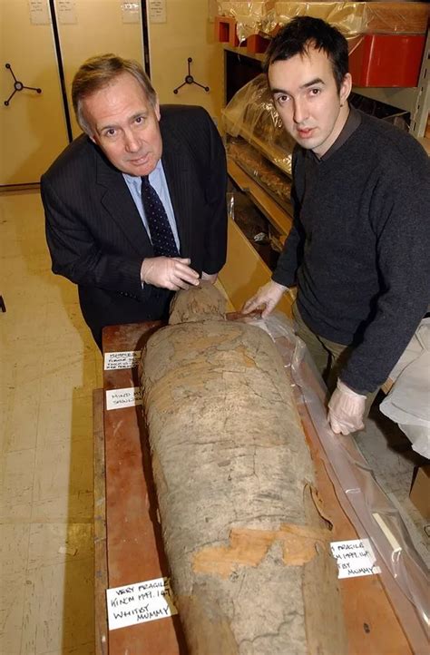 the mysterious story of hull s egyptian mummy and how scientists made a big mistake hull live