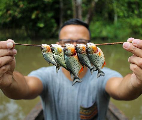 Caught some piranha on the Amazon river and also caught one of my