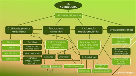 Mapa Conceptual Sobre La Agricultura