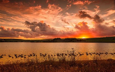 Sunset Lake Landscape Ducks Hd Wallpaper Peakpx