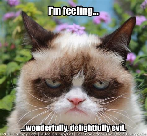 Ahits A Good Day Grumpy Cat Grumpy Cat Humor Grumpy Cat Meme