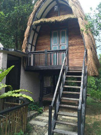 Geographically located in the state of pahang, malaysia (03 31n longitude 101 55 e)ranging from 1500 to 4500 feet above sea level.the climate here serves in between 23° and 28°celsius during the day and below 22°celsius in the evenings. Chalets - Picture of Danau Daun Chalets, Janda Baik ...