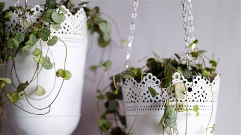 Vous garantir le bon achat, on y travaille tous les jours. DIY | Suspension pour plantes - 3 idées originales et faciles