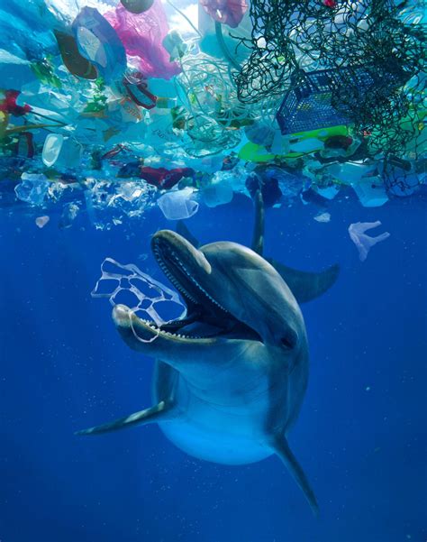 Plastic Pollution Sea To Source National Geographic Society