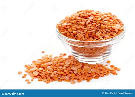 Bowl Of Uncooked Red Lentils Stock Photo Image Of Isolated Food
