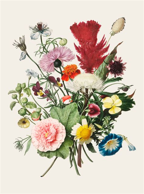 Vintage Illustration Of Bouquet Of Flowers Download Free Vectors