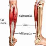 Pictures of Upper Calf Muscle Exercise
