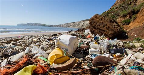 Müll Im Meer Wir Verten Uns Selbst Mit Plastik