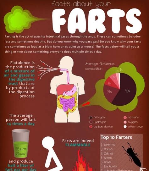 On The Powder Life Hacks Pro Tips And Random Info Facts About Farts