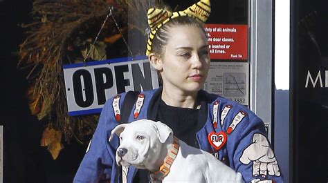 Miley Cyrus Adds Another Pup To Her Animal Fam Miley Cyrus Just