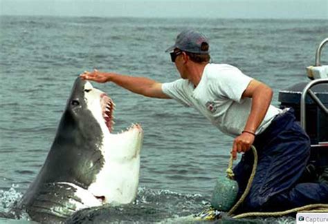 Shark Love With Human Unbelievable