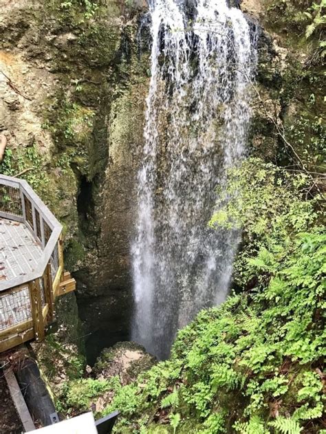 The Tallest Waterfall In Florida Can Be Seen On This Easy Hike