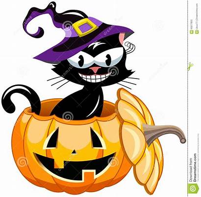 Halloween Cat Pumpkin Inside Witch Hat Wearing