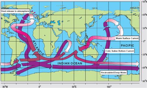 2schematic Diagram Of The Global Ocean Circulation Pathways The