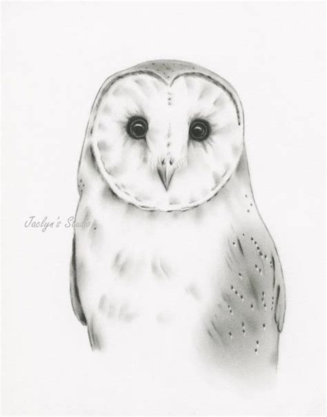 Original Barn Owl Charcoal Drawing 11x14 Barn Owl Art Owl Drawing