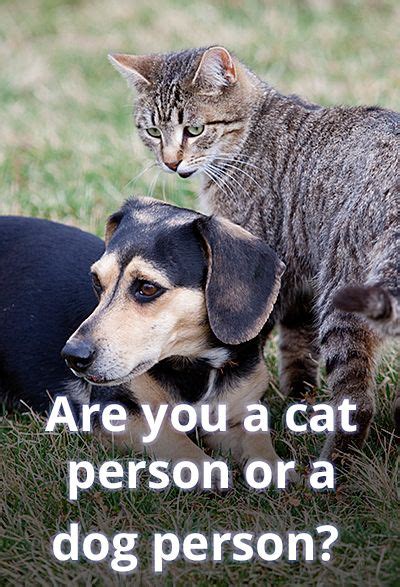 Are You A Cat Person Or A Dog Person Take Our Quiz Dog Person Cat