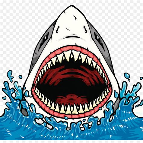 Shark Jaw Vector At Vectorified Com Collection Of Shark Jaw Vector Free For Personal Use