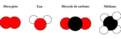 Molécules Cours De Collège