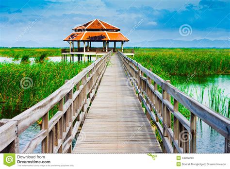 Wooden Bridge In Lake Under Blue Sky Stock Image Image Of Thailand