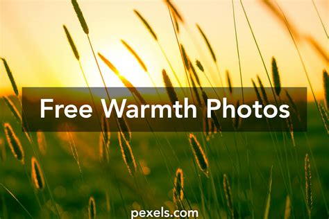 40 Beautiful Warmth Photos · Pexels · Free Stock Photos