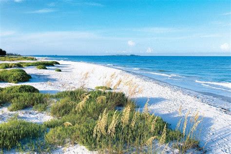 These Are The Best Beaches Near Tampa Usa Today 10best