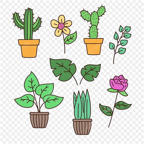 Colección De Flores Y Plantas Con Estilo De Dibujos Animados Png