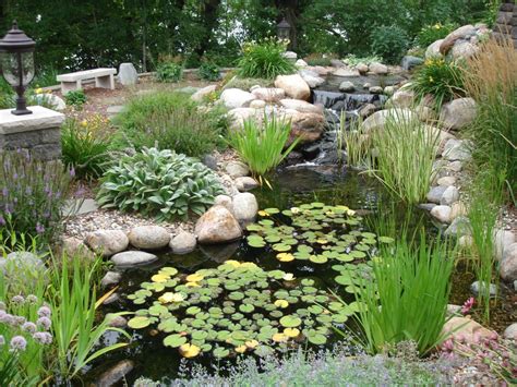 Aquatic Gardens And Landscaping Aquatic Dream