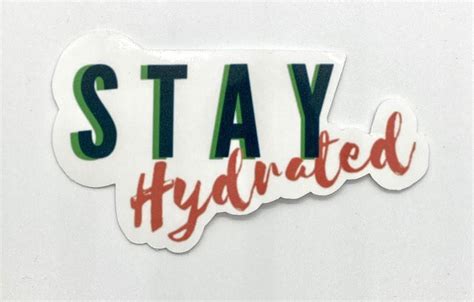 Stay Hydrated Sticker 2x 3 Hydro Flask Sticker Bullet Etsy