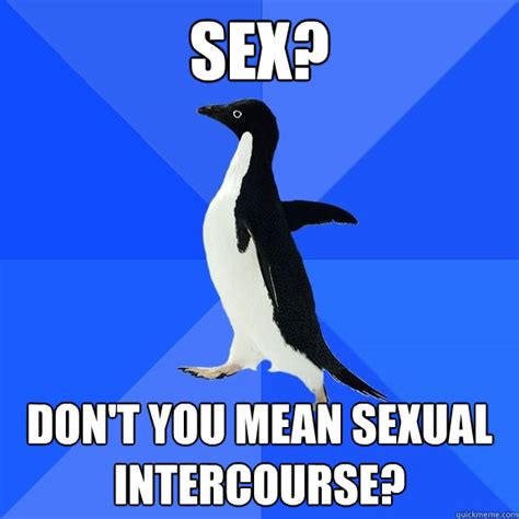 Sex Don T You Mean Sexual Intercourse Socially Awkward Penguin Quickmeme