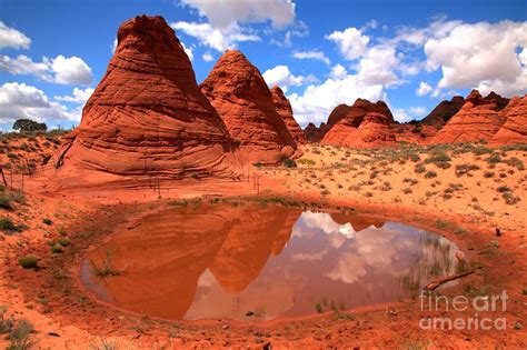 Vermilion Cliffs Desert Oasis Photograph By Adam Jewell Fine Art America