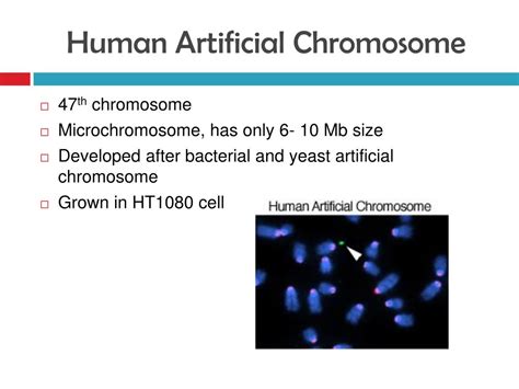 Ppt Gene Therapy Powerpoint Presentation Free Download Id1986733