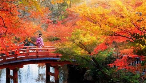 Kyoto In November 2022 A Little Guide For A Blissful Holiday