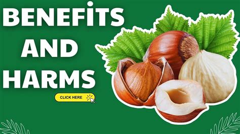 Health Benefits And Harms Of Hazelnuts Youtube