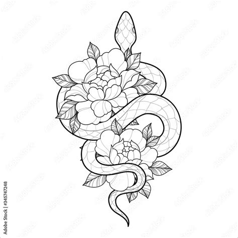 Hand Drawing Outline Snake With Flowers Tattoo Snake For Henna Drawing