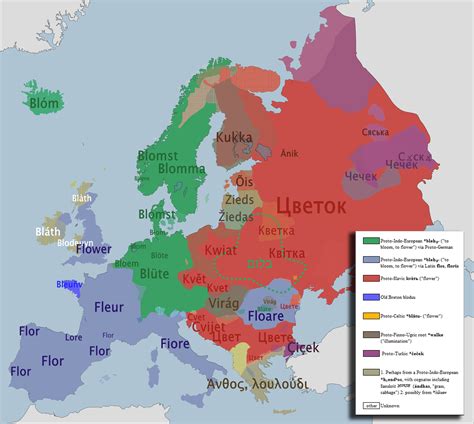 The Word For Flower In Various European Languages Source Link Europe