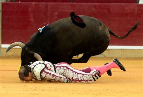 Bullfighter Clinging To Life After Being Gored By Bull Wildest