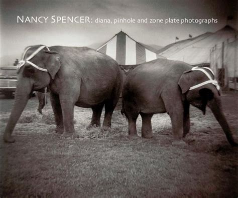 Nancy Spencer Diana Pinhole And Zone Plate Photographs Book