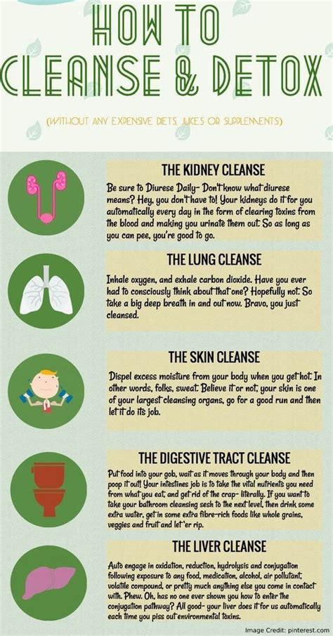 How To Detoxify And Cleanse Your Body An Infographic Bowtrol