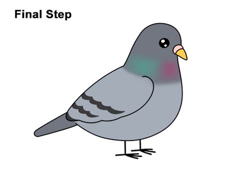 How To Draw A Pigeon Cartoon Video And Step By Step Pictures Cute