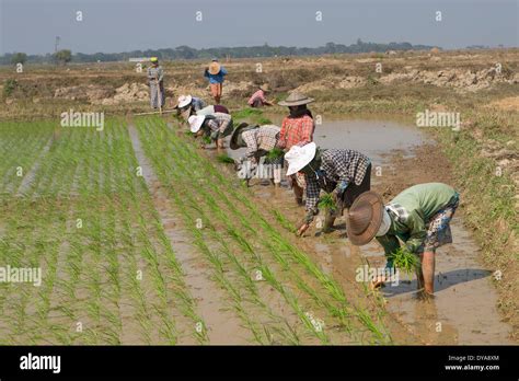 Hard Working Farmers Hi Res Stock Photography And Images Alamy