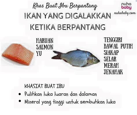 ••• ikan antara makanan berkhasiat untuk ibu berpantang yang membekalkan sumber protein. NuhaBaby - IKAN YANG BOLEH DIMAKAN KETIKA BERPANTANG ...